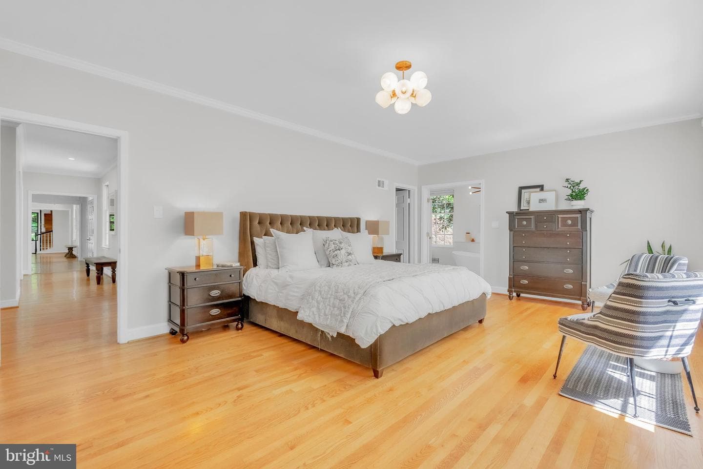 14 Stanmore Court photo 39