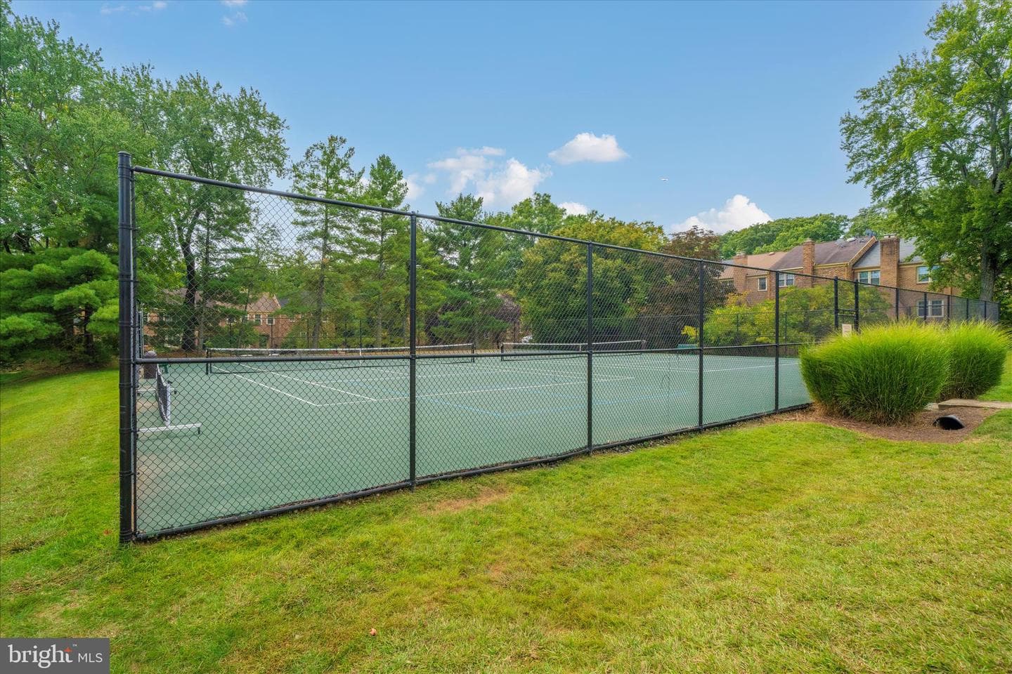 11308 Empire Lane photo 51