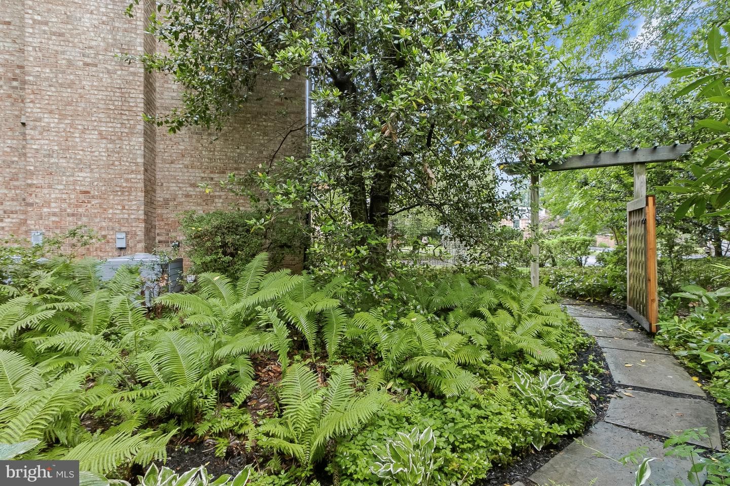 11404 Grundy Court photo 44