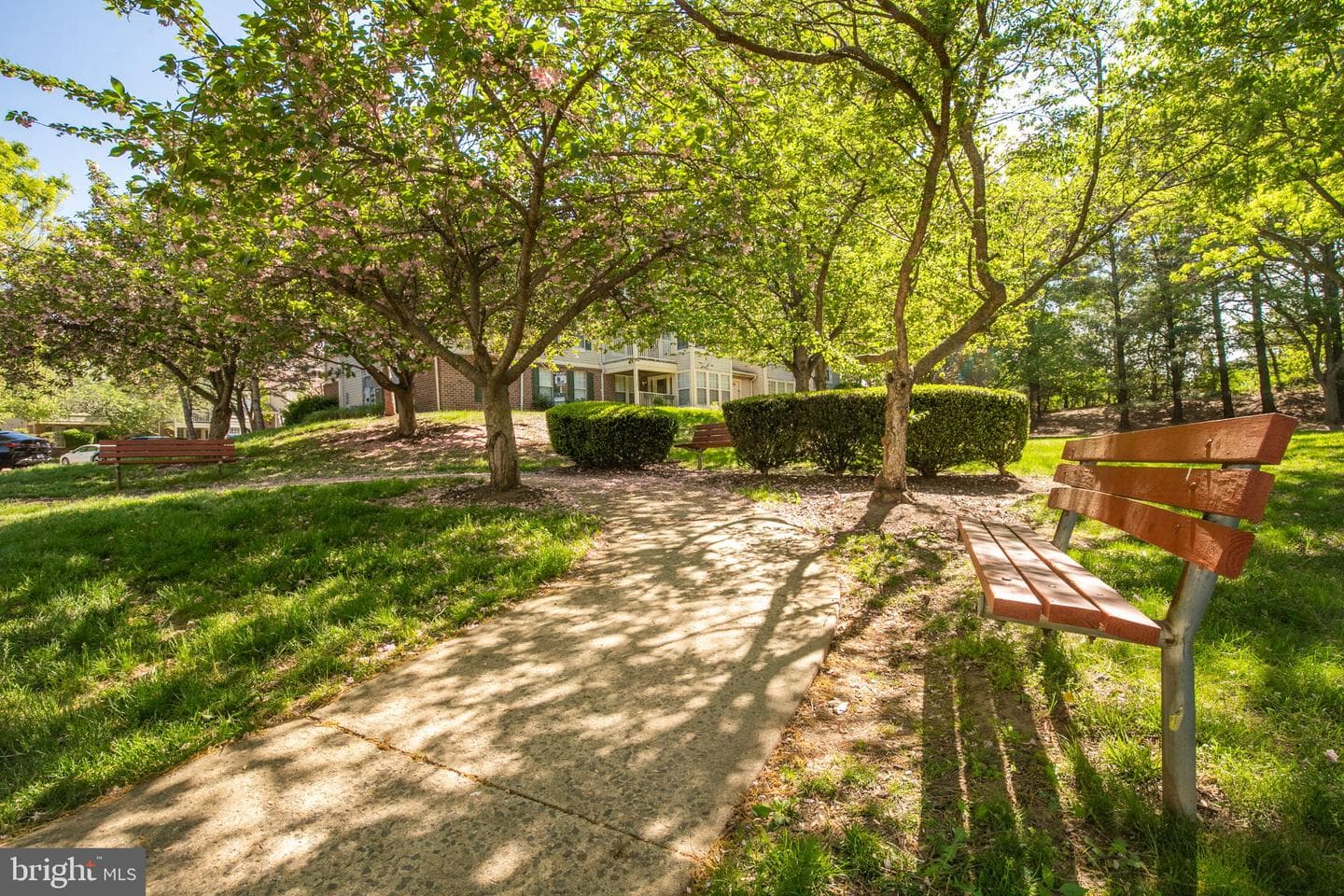 13108 Briarcliff Terrace ##703 photo 32