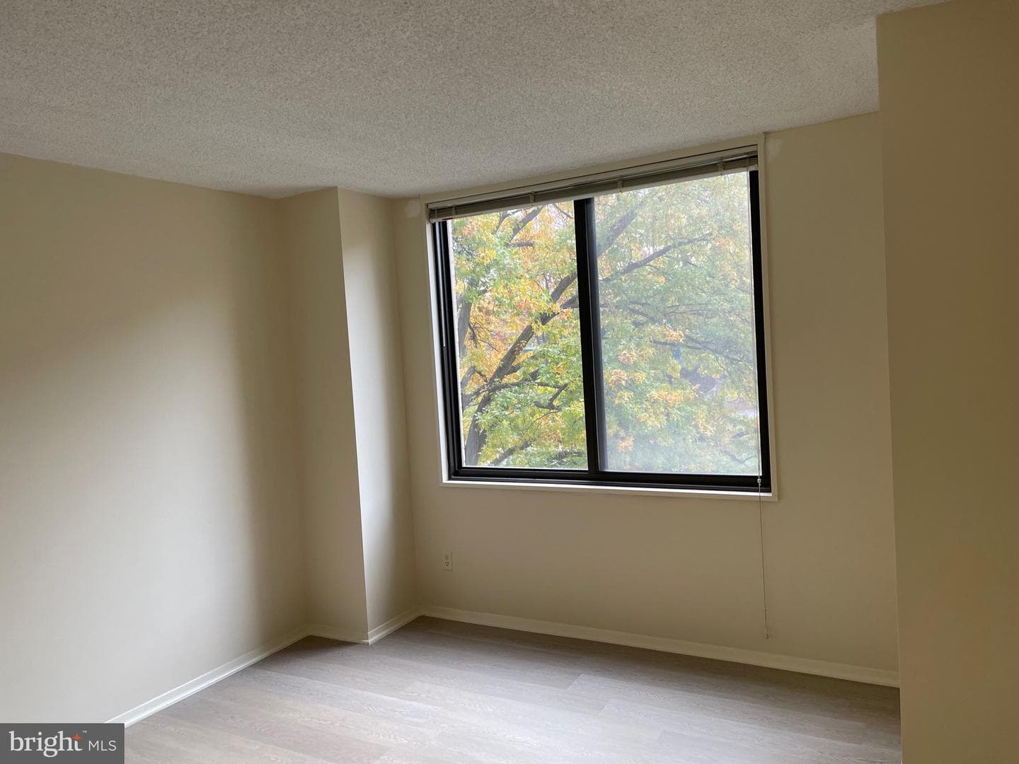 5225 Pooks Hill Road #226s photo 7