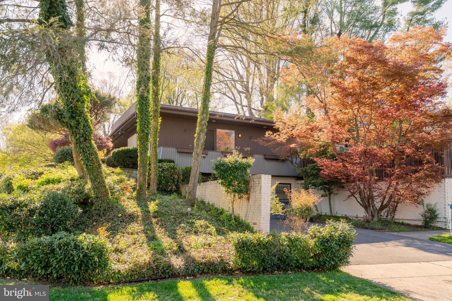 3201 Pauline Drive photo 3