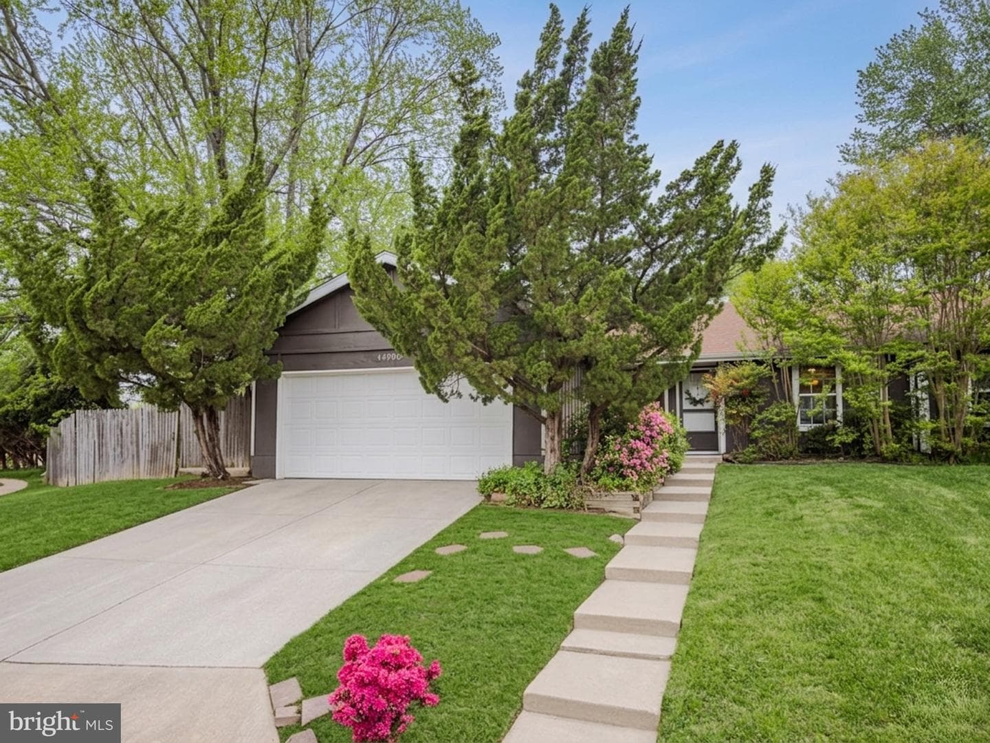14900 Hydrus Road photo 3