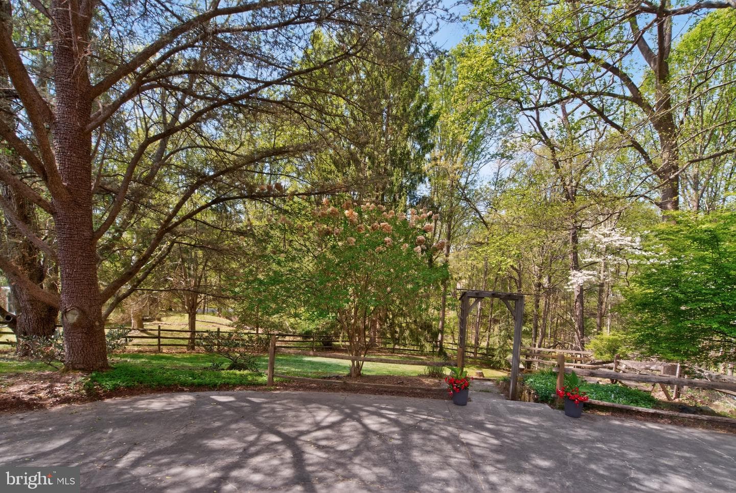 11804 Cherry Grove Drive photo 27