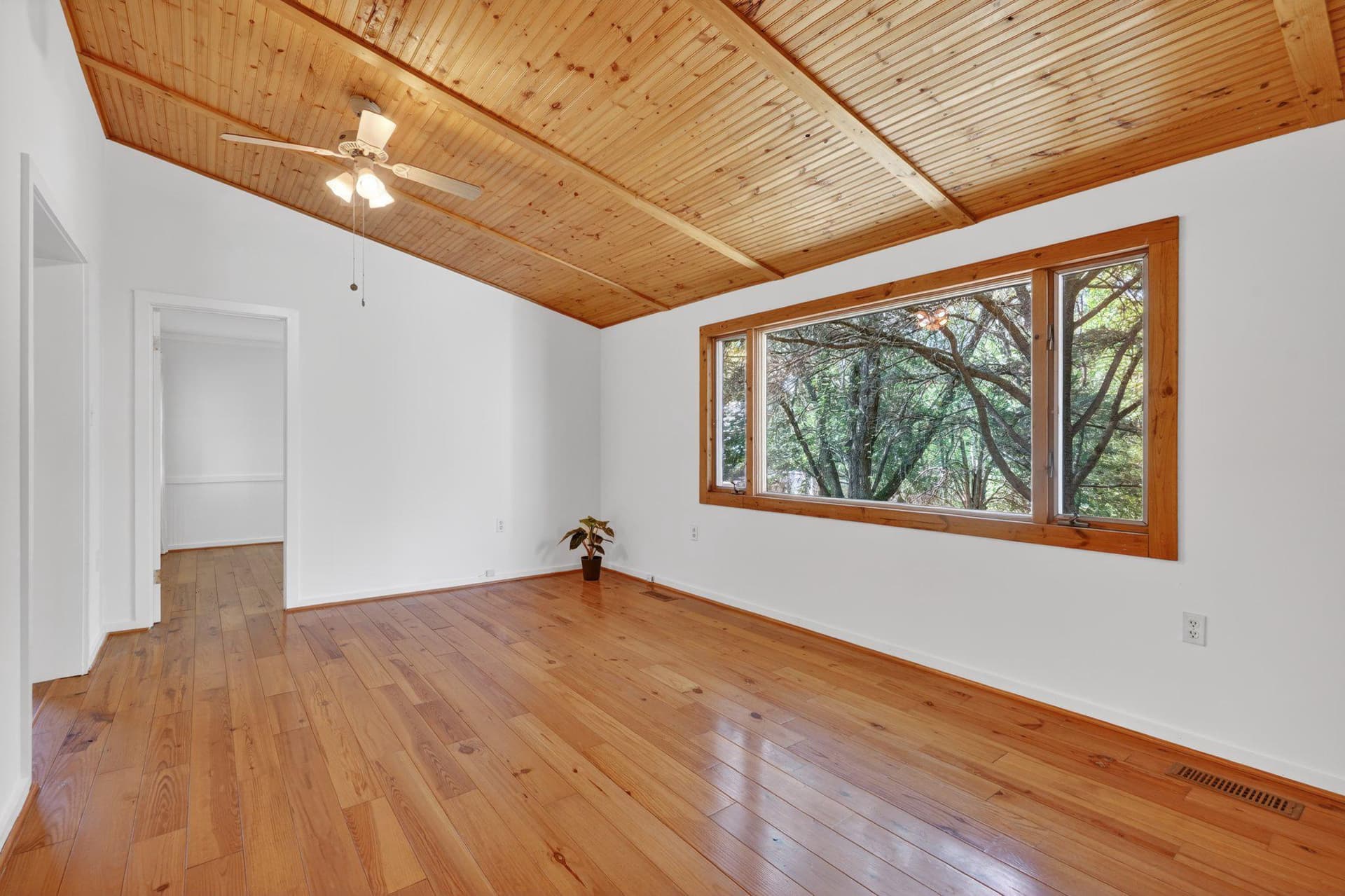 11804 Cherry Grove Drive photo 4
