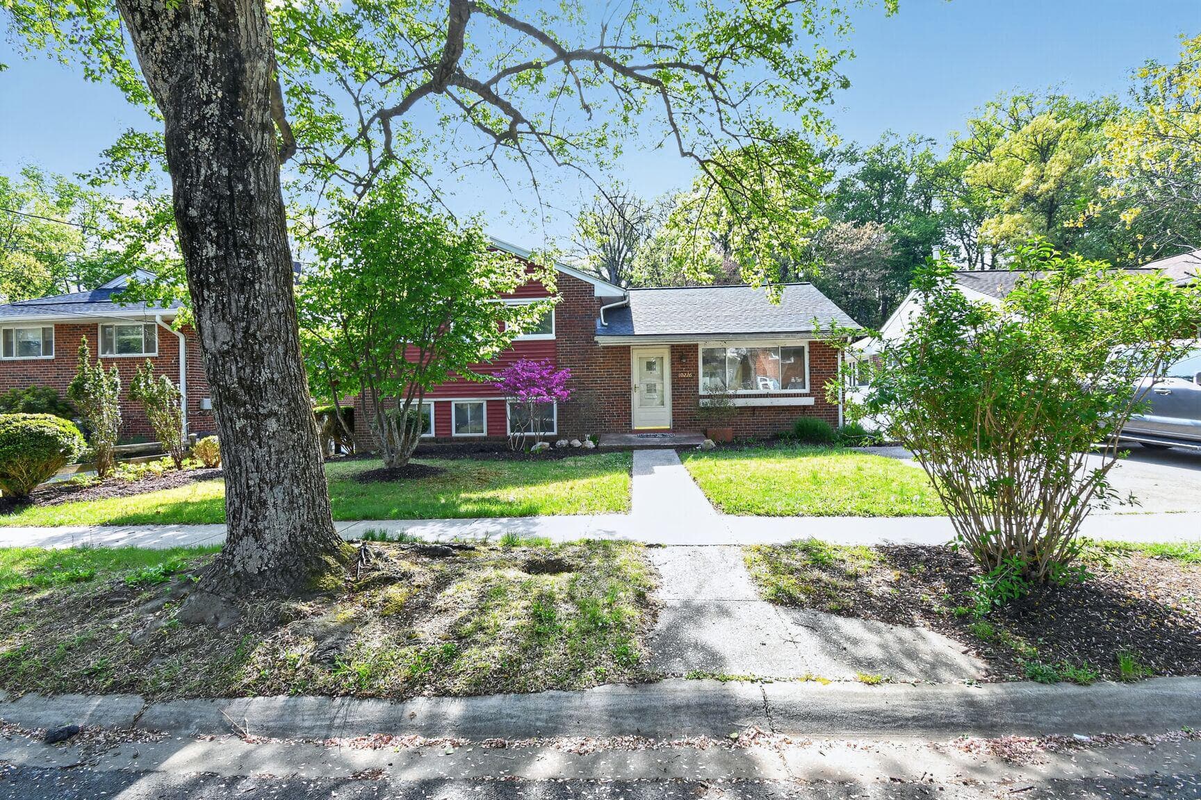 10226 Leslie Street photo 31