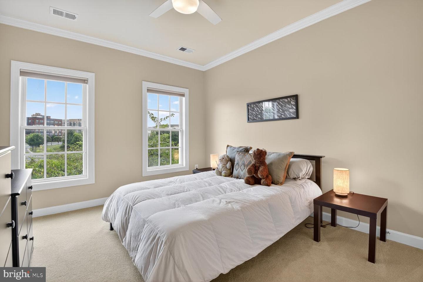 58 Sharpstead Ln photo 23