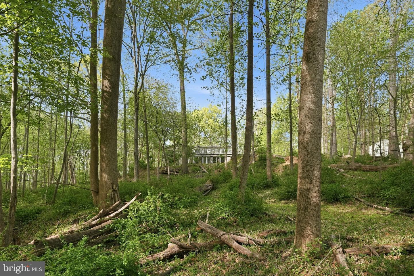 17107 Overhill Road photo 2