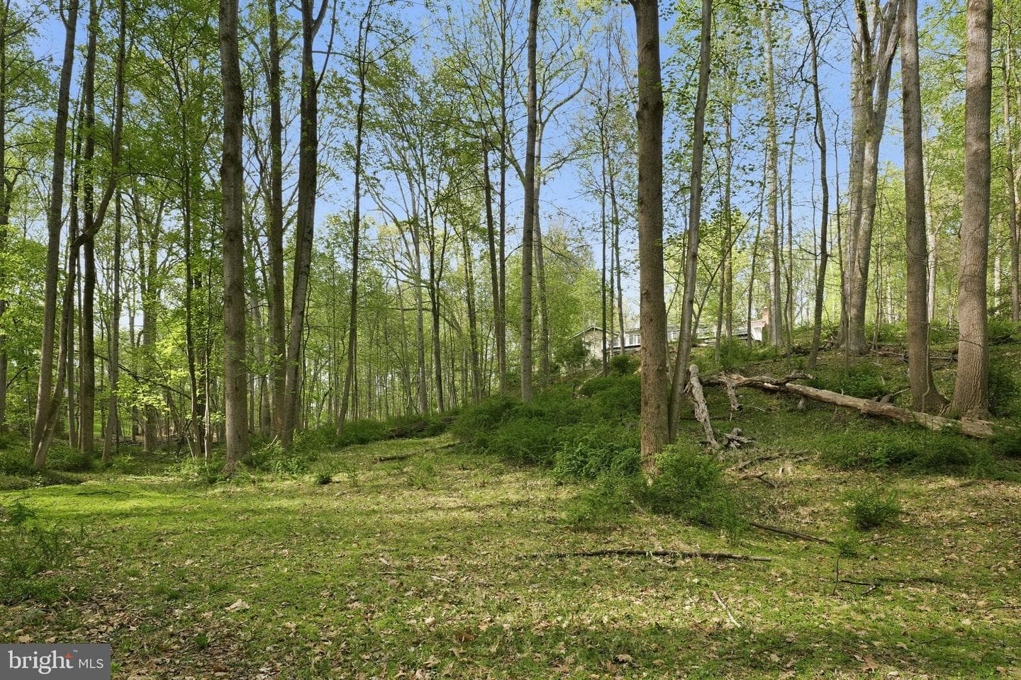 17107 Overhill Road photo 34