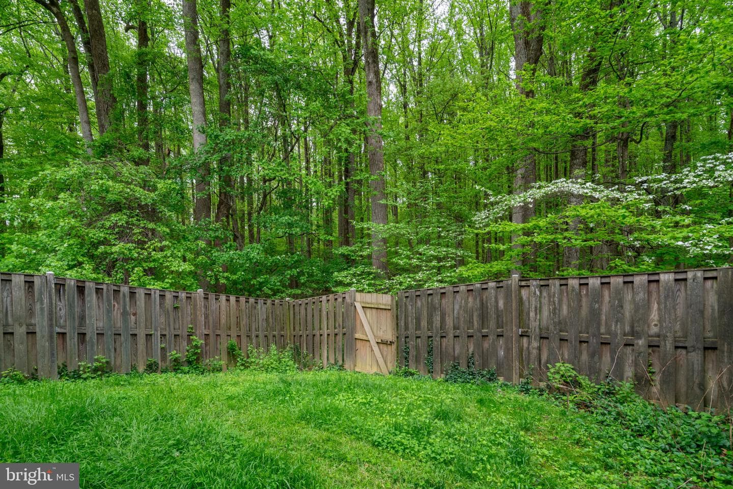 1314 Alderton Lane photo 13