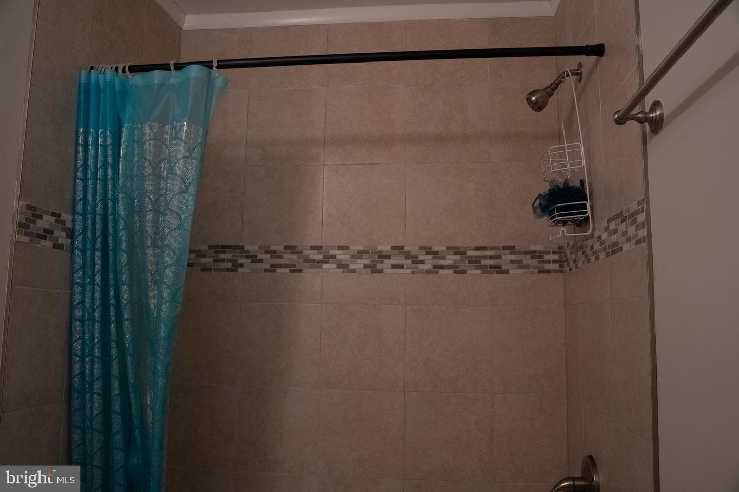 10010 Ridgeline Drive photo 38