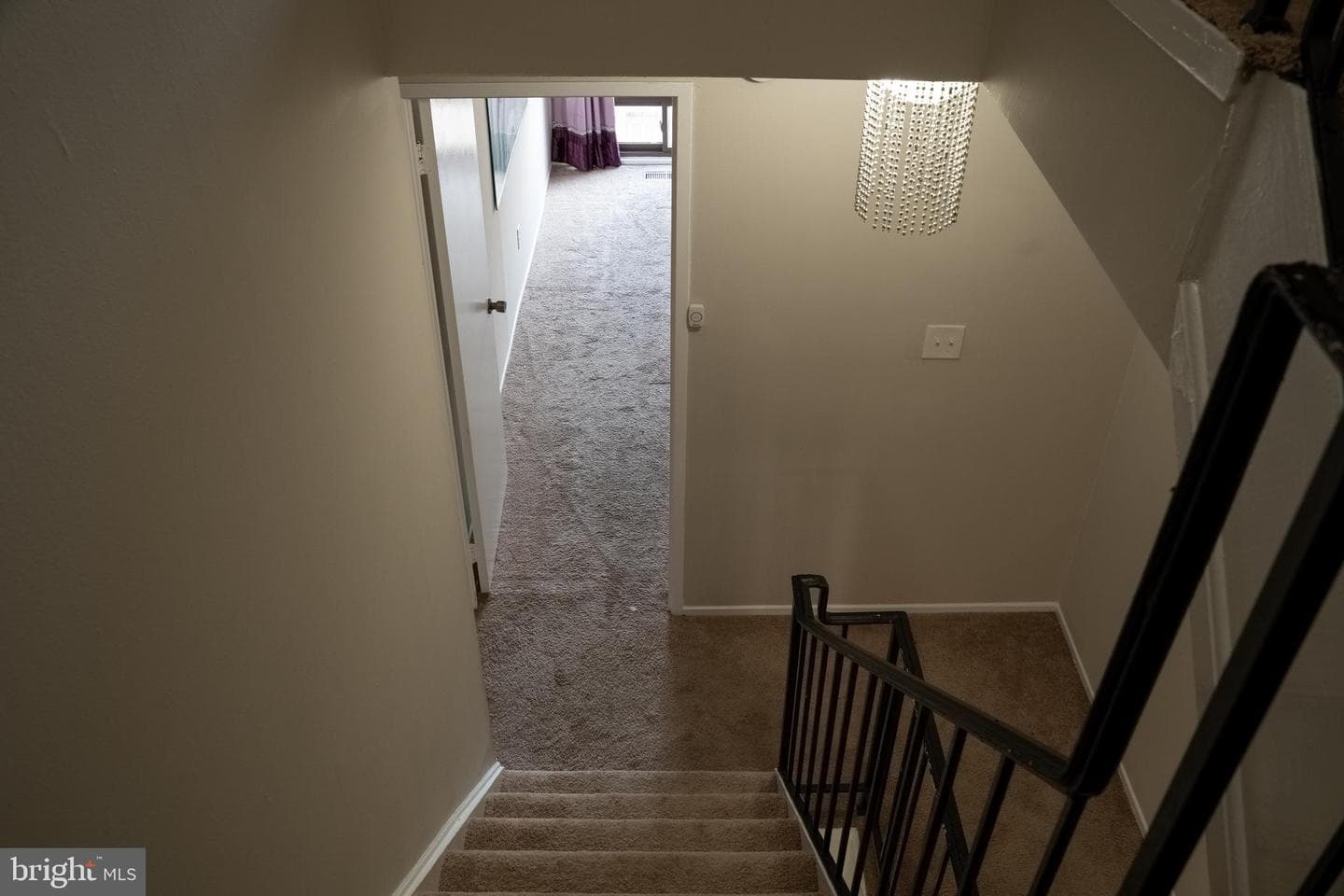 10010 Ridgeline Drive photo 46