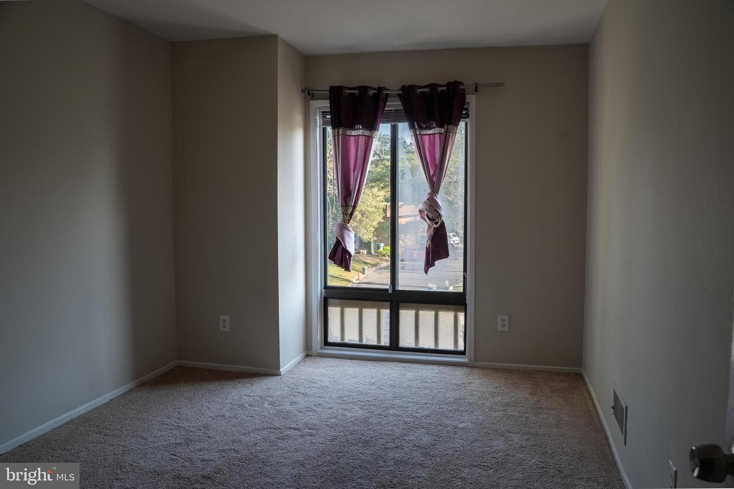 10010 Ridgeline Drive photo 52