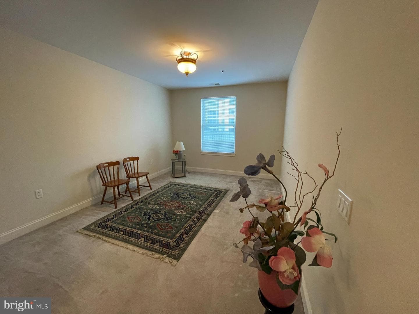 38 Maryland Avenue #224 photo 9