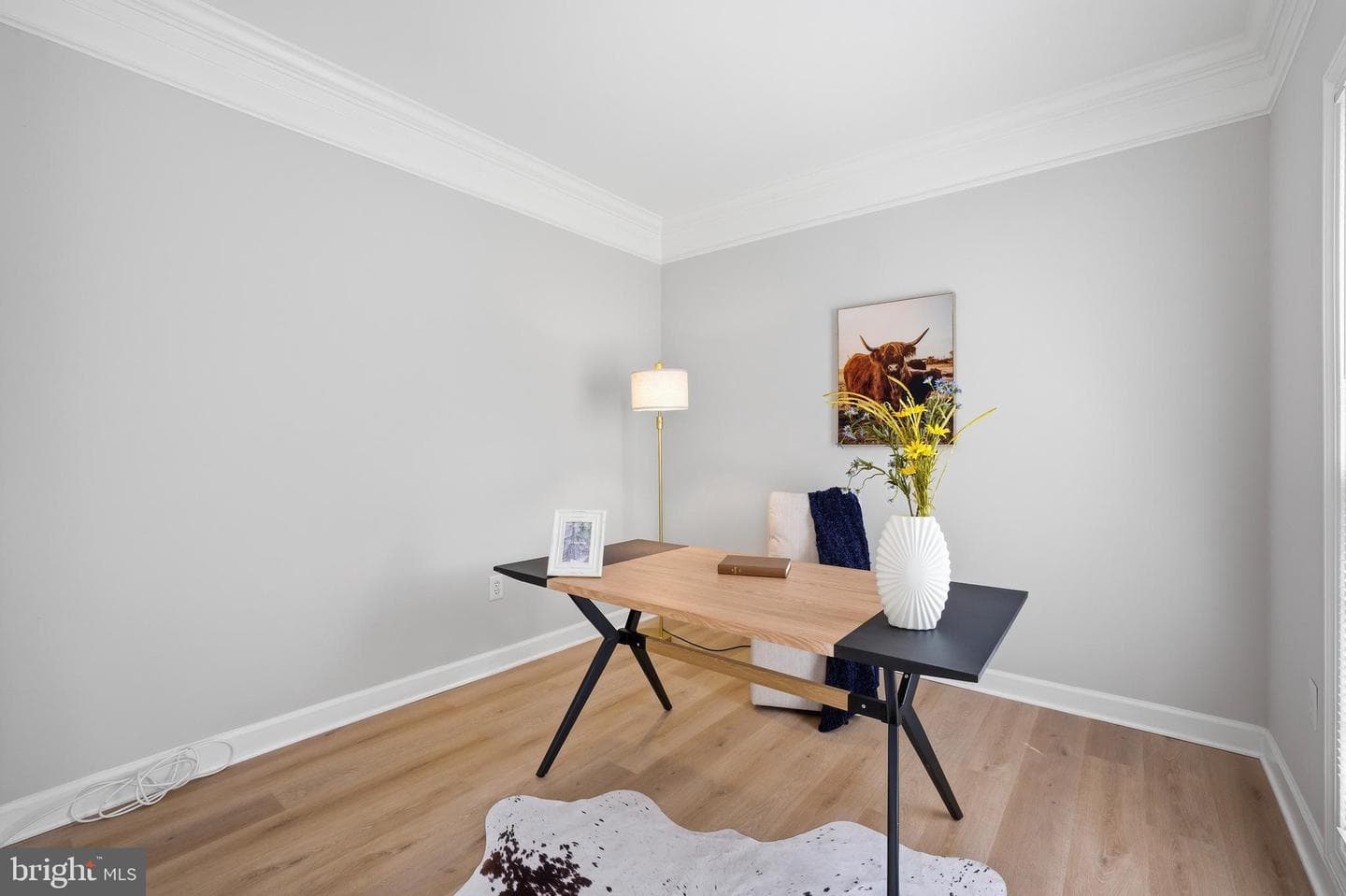 13904 Natia Manor Drive photo 5
