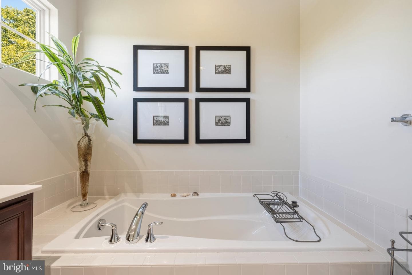 13236 Windsong Lane photo 31
