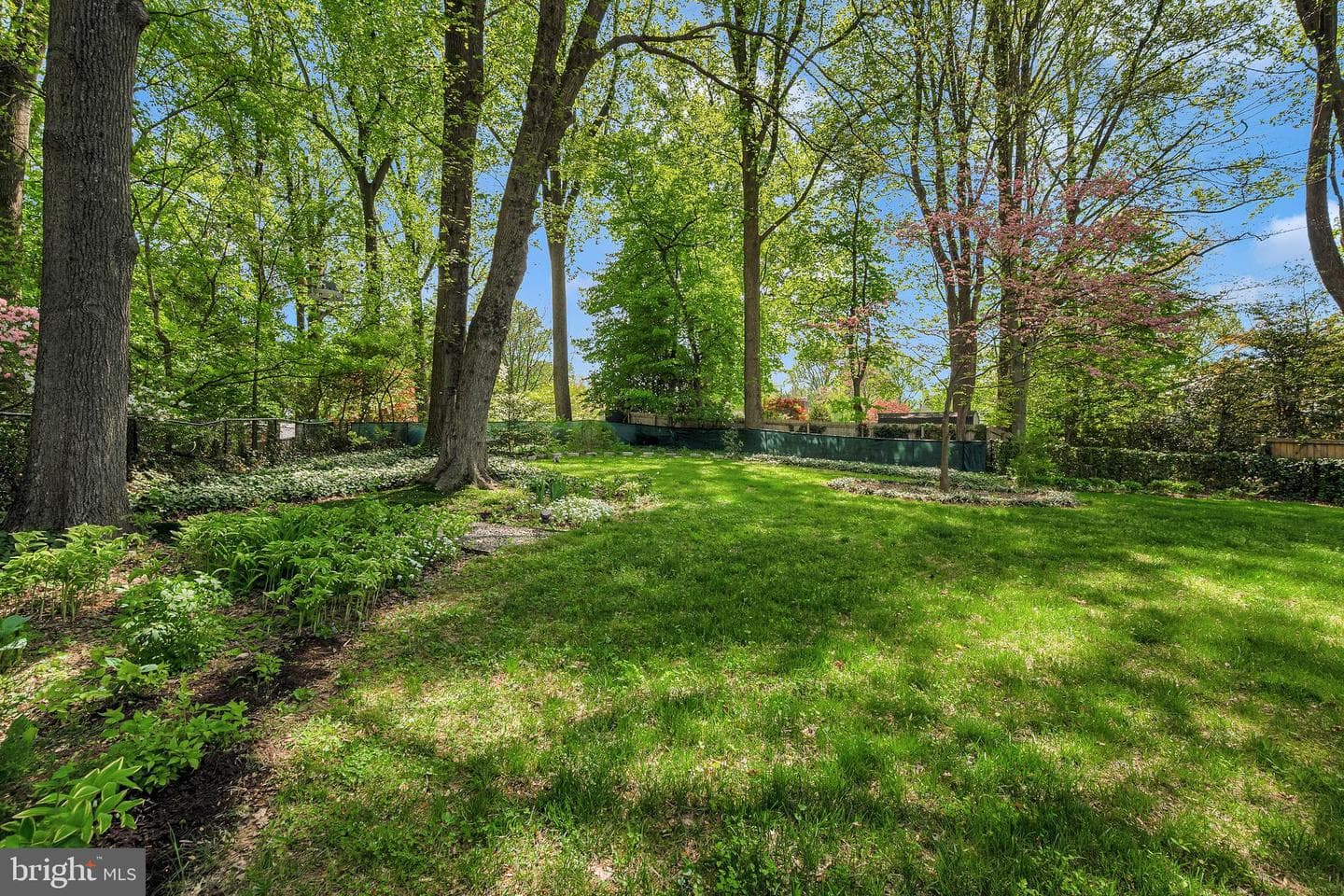 9709 Connecticut Avenue photo 17
