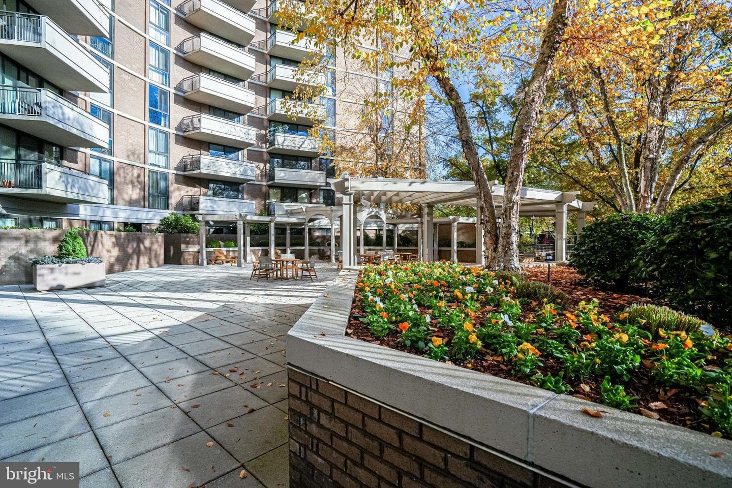 4620 N Park Avenue #709e photo 10