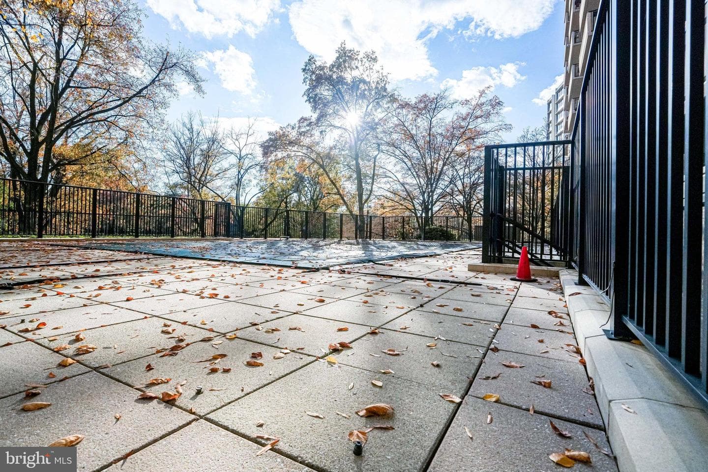4620 N Park Avenue #709e photo 11