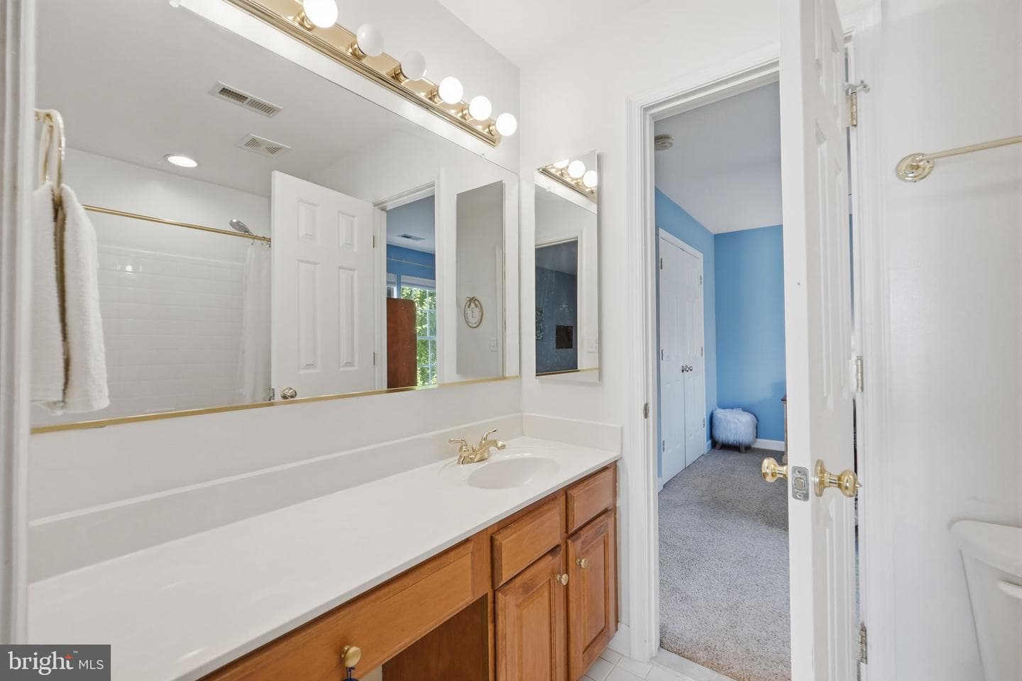 15242 Briarcliff Manor Way photo 40