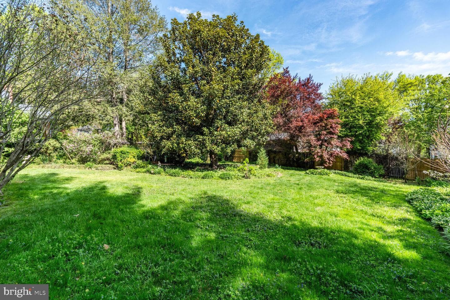 3911 Prospect Street photo 53