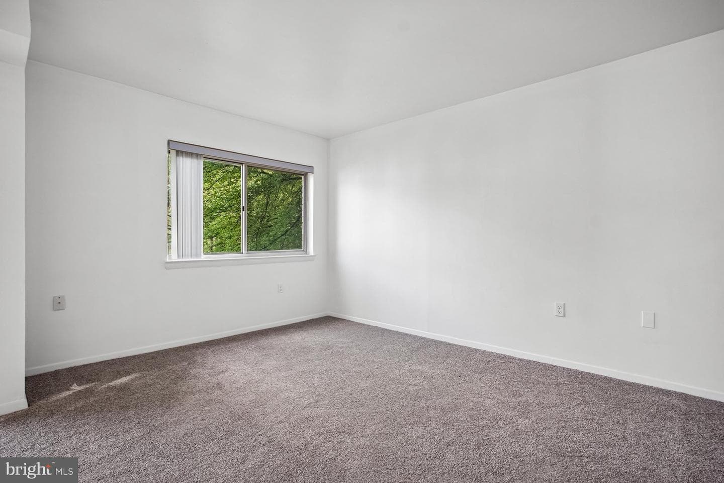 12303 Braxfield Court #11 photo 4