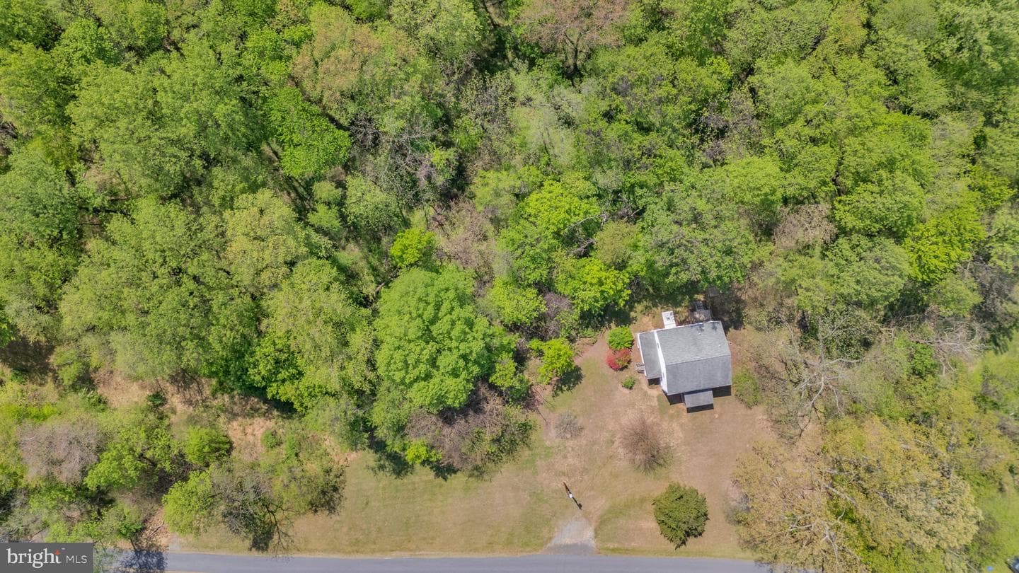 20730 Big Woods Road photo 3
