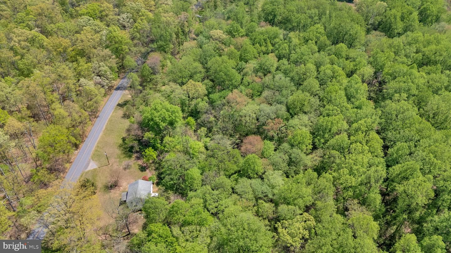20730 Big Woods Road photo 4
