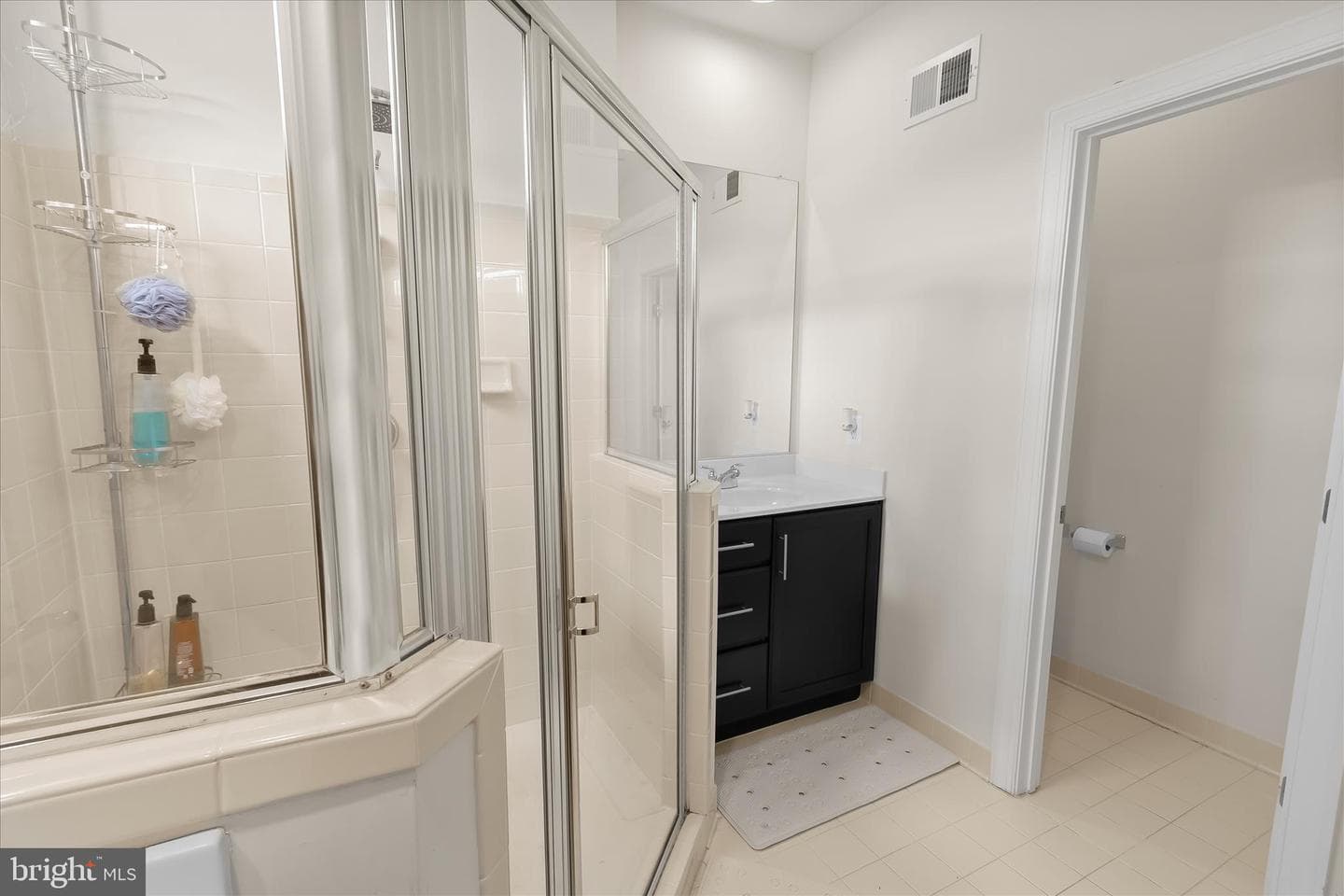 13502 Windy Meadow Lane photo 44