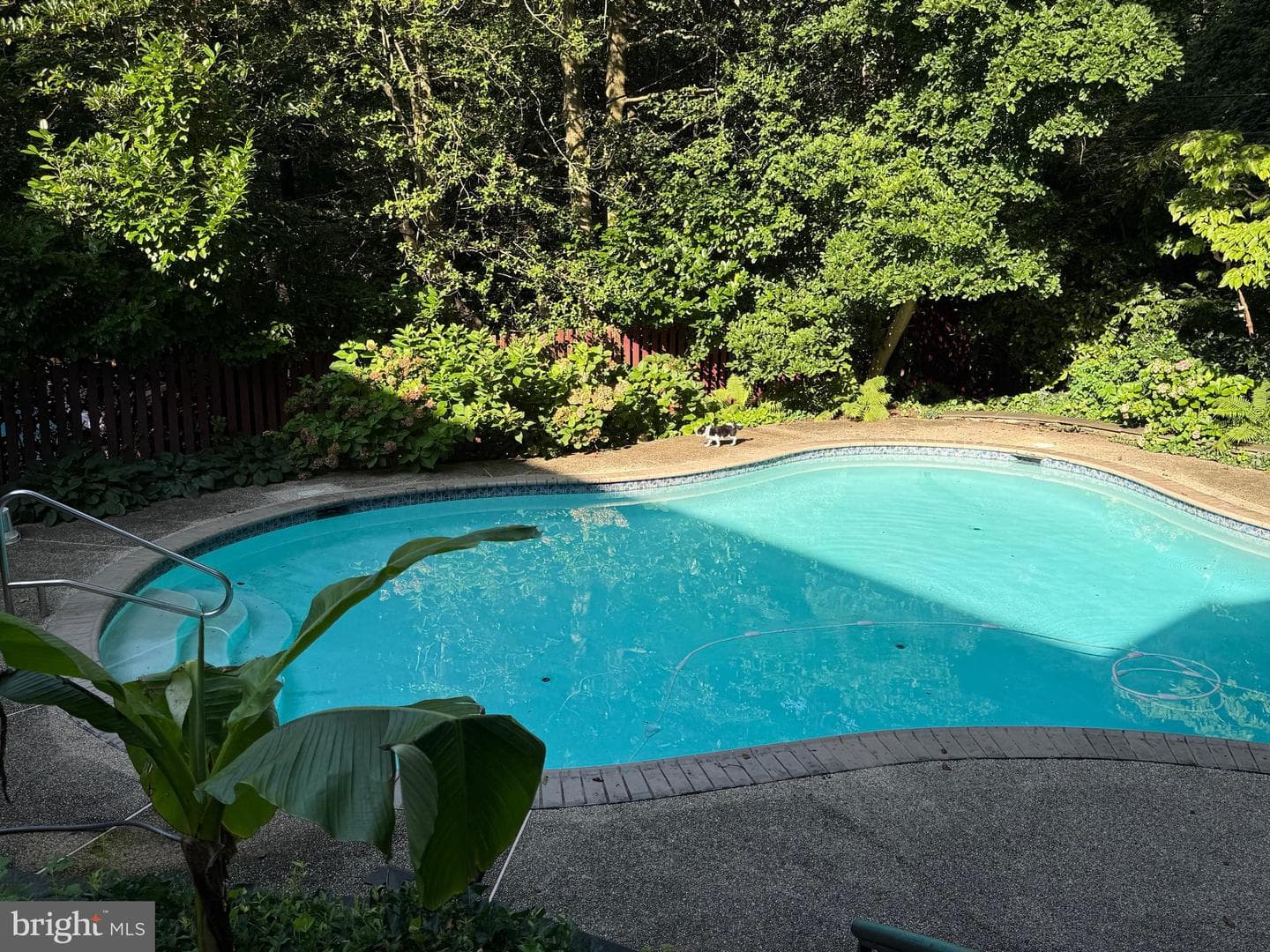 5344 Falmouth Road, Bethesda
