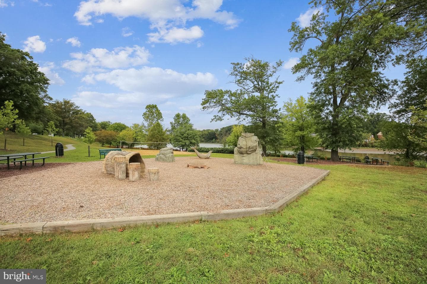 9705 Hellingly Place #62 photo 36