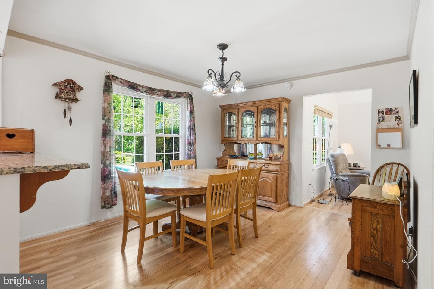 9509 Snyder Mill Court photo 14