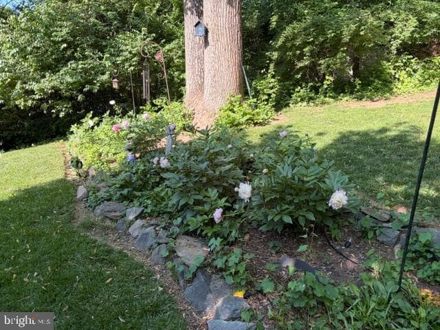 11408 Orleans Way photo 48