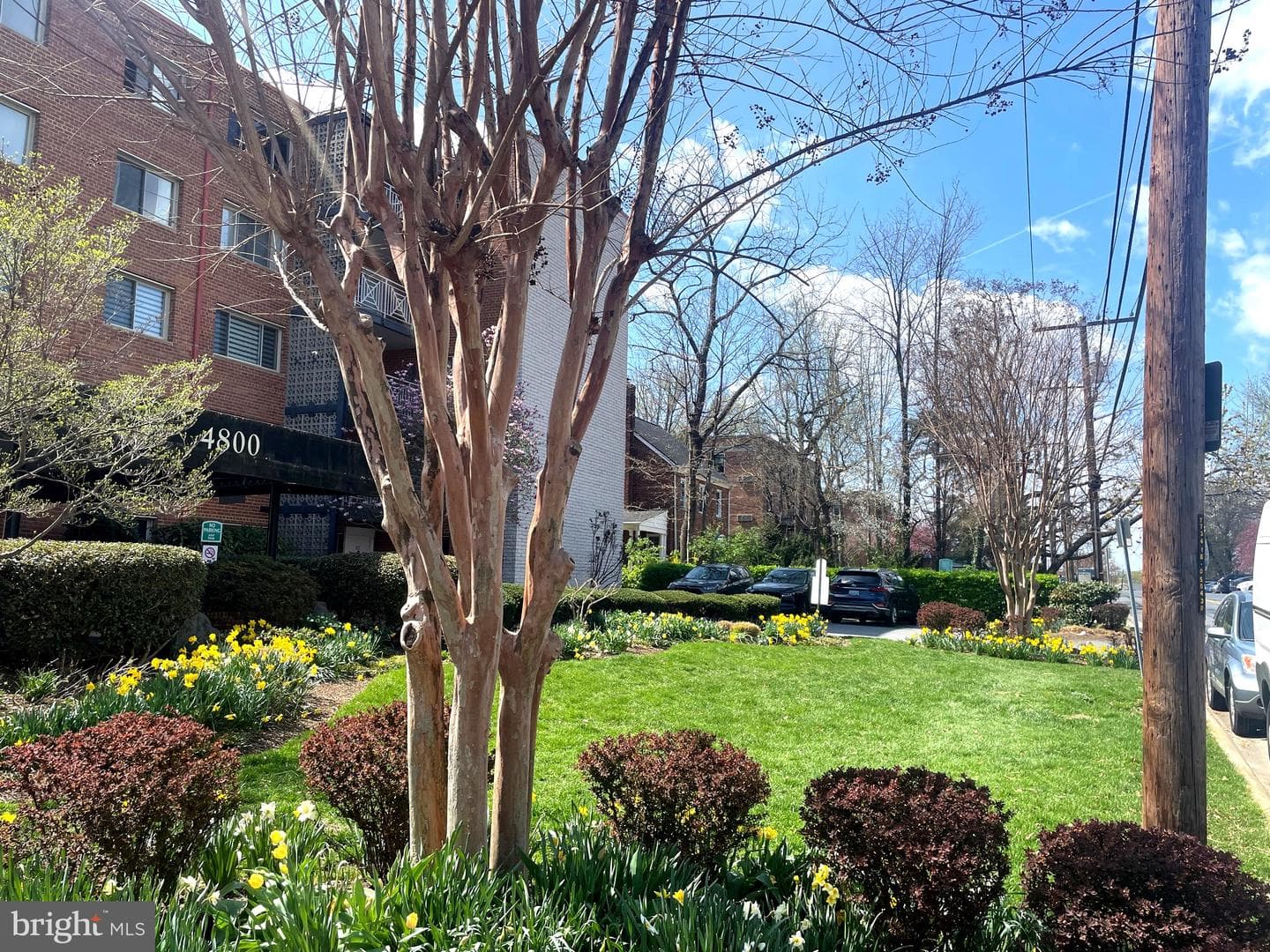 4800 Chevy Chase Drive #508 photo 2