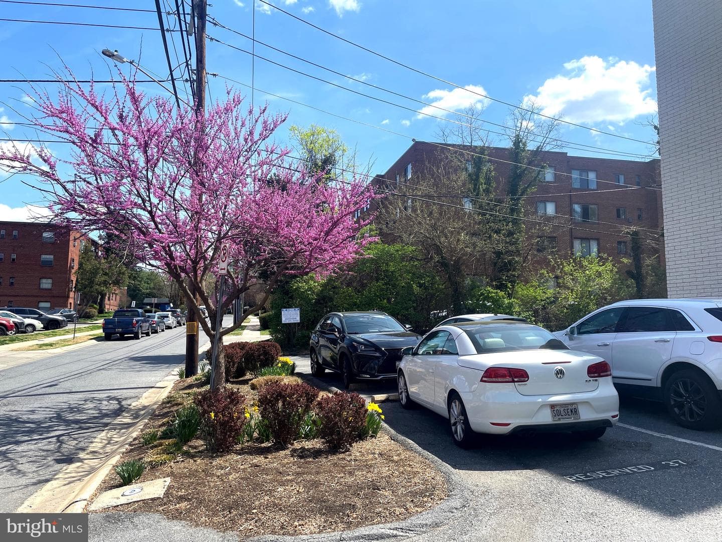 4800 Chevy Chase Drive #508 photo 3