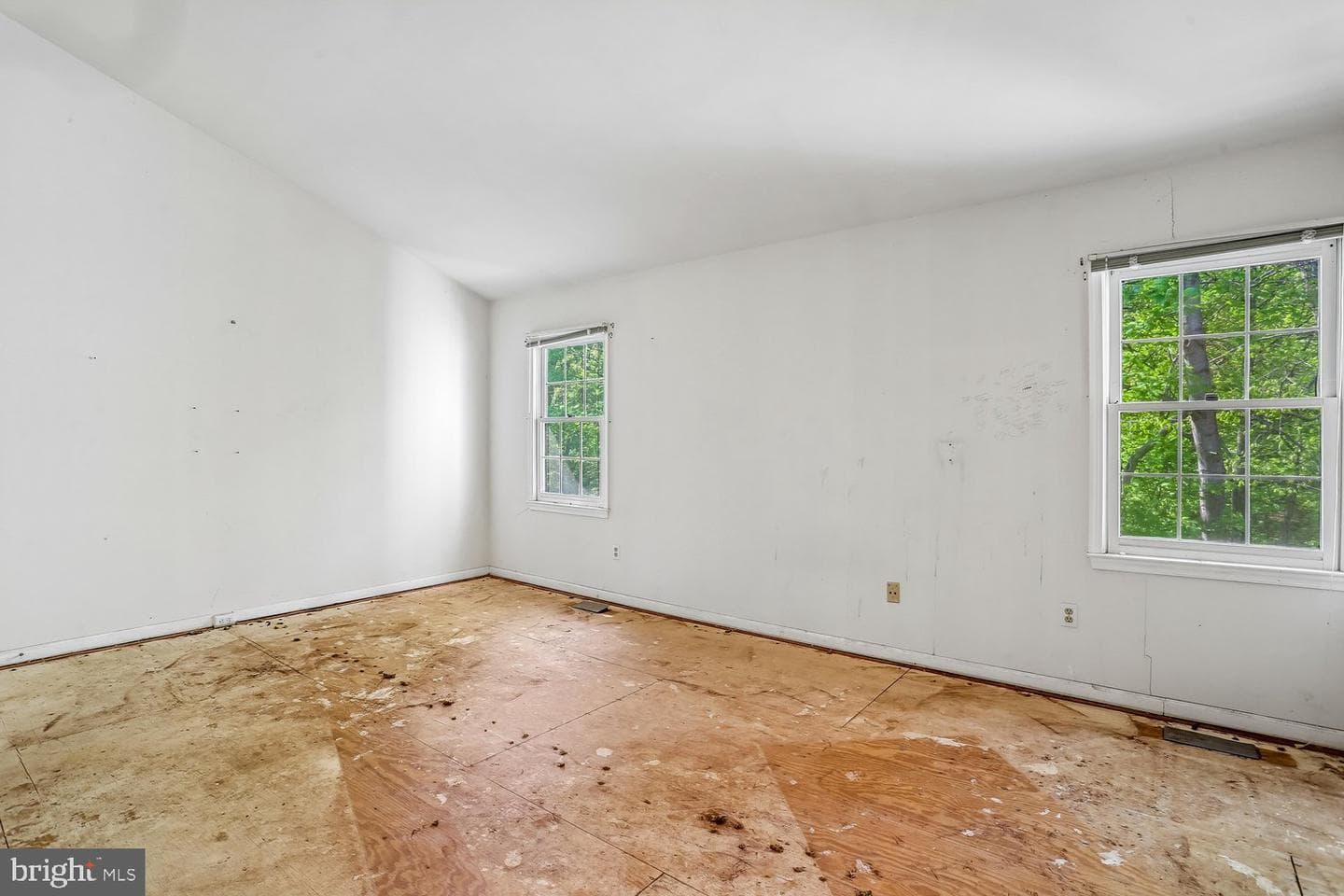 14307 Rich Branch Drive photo 11