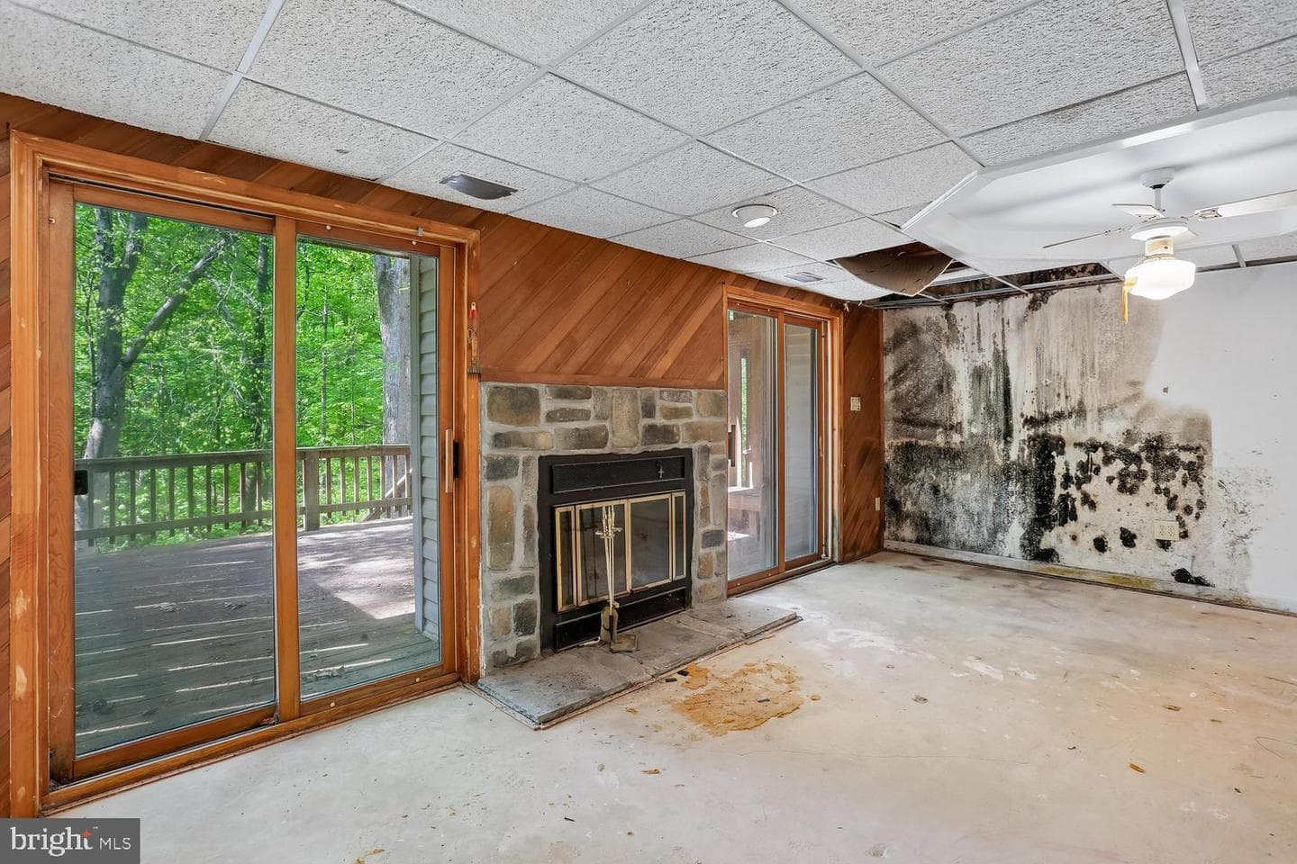 14307 Rich Branch Drive photo 18