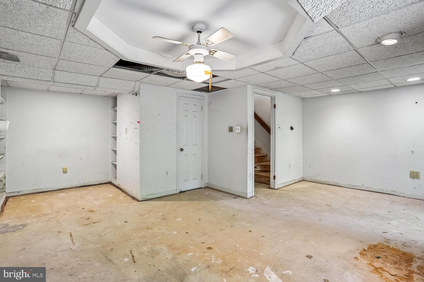 14307 Rich Branch Drive photo 19