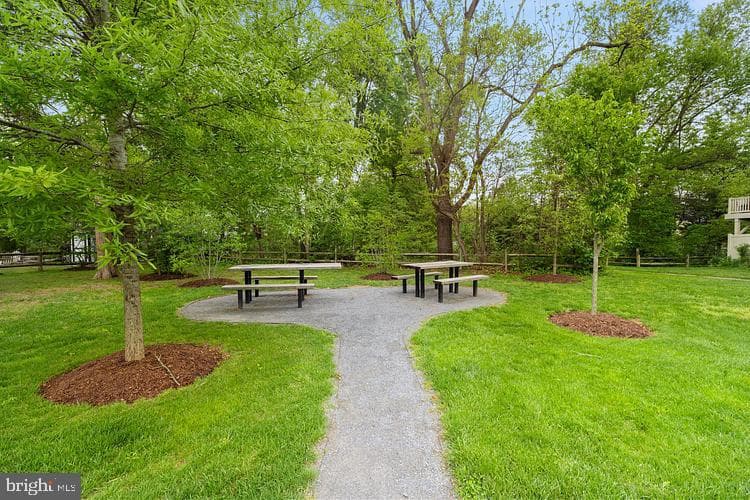 13074 Wallich Way photo 38