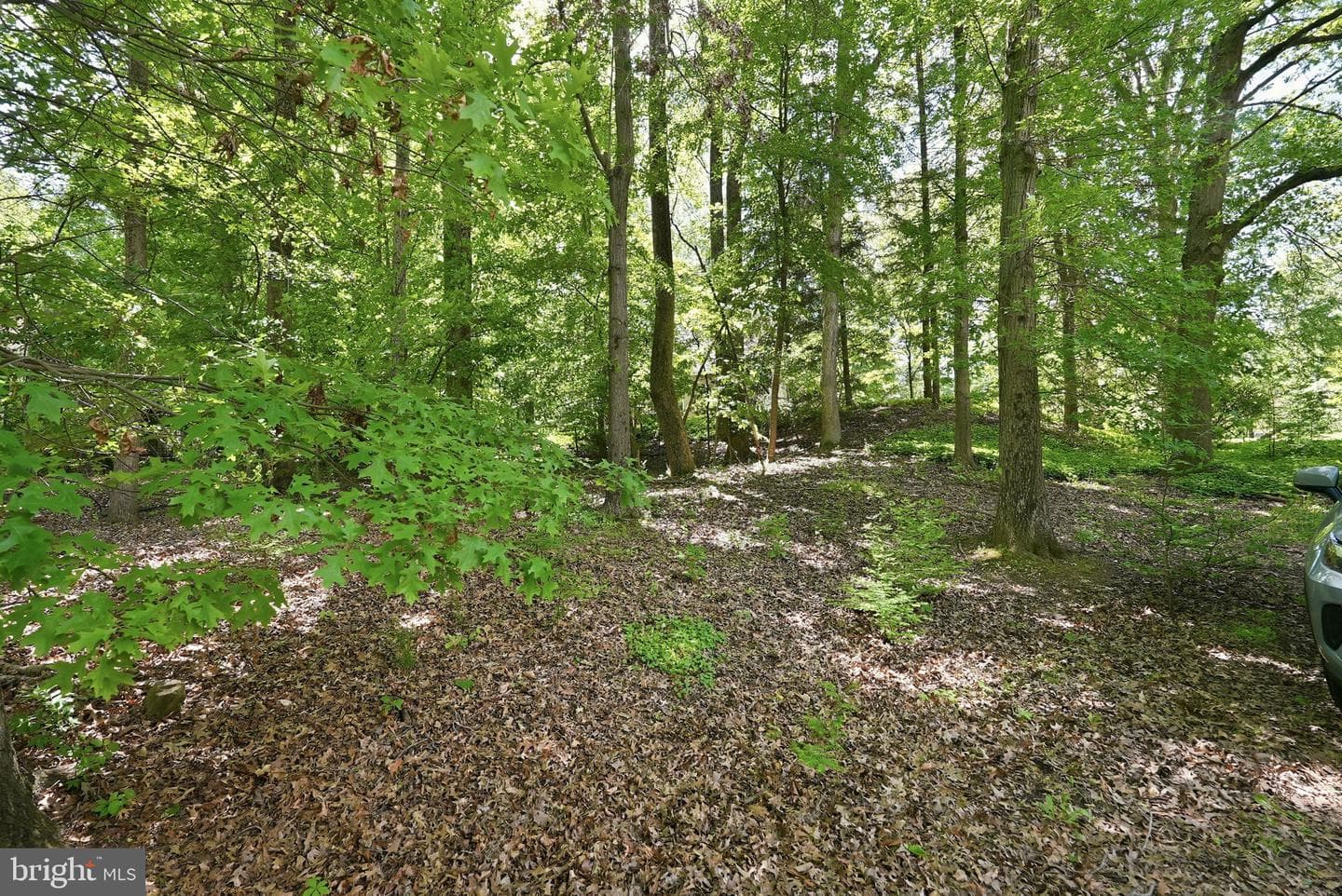 11815 Beekman Place photo 56