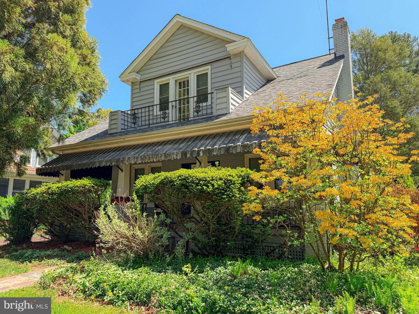 25 Maryland Avenue photo 57