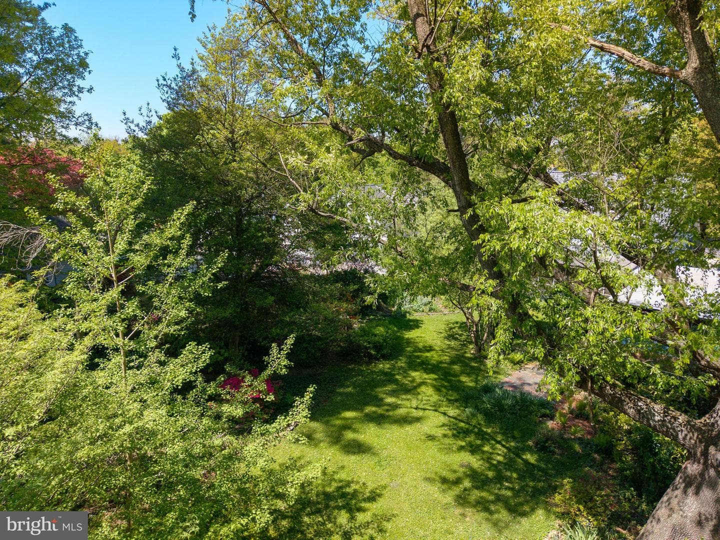 25 Maryland Avenue photo 69