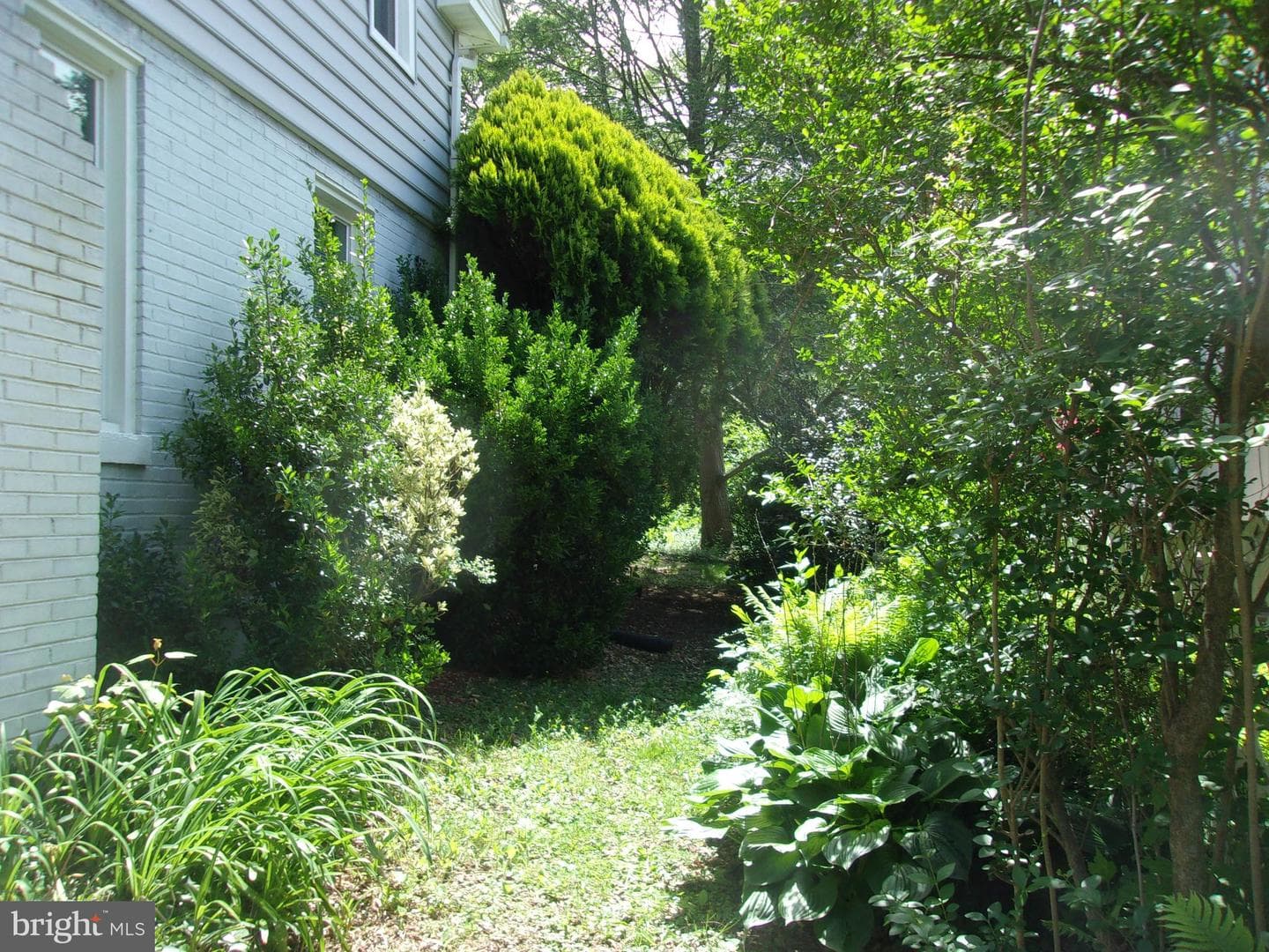 25 Maryland Avenue photo 73