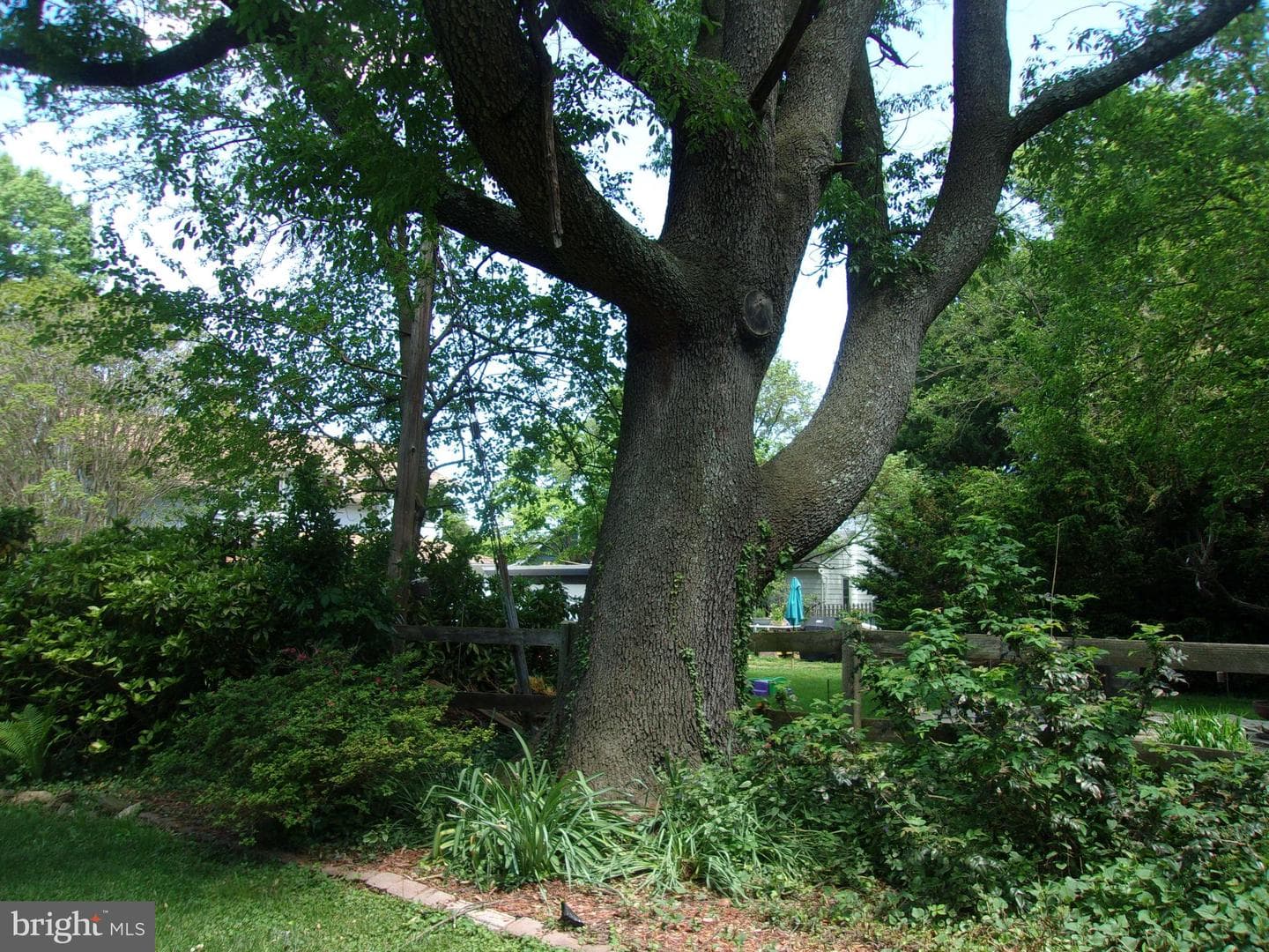 25 Maryland Avenue photo 84