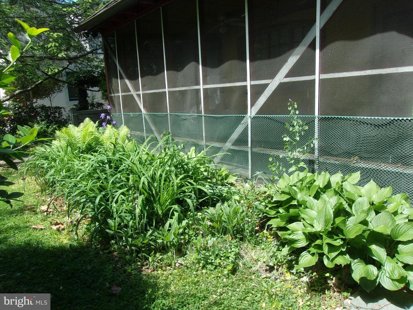 25 Maryland Avenue photo 89