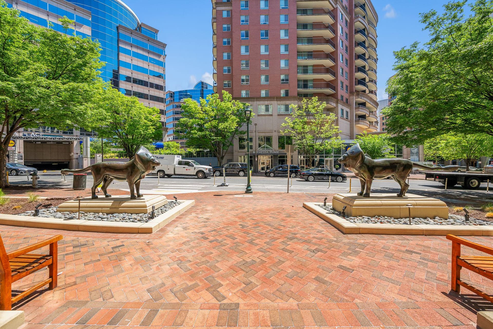 7710 Woodmont Avenue #1011 photo 50