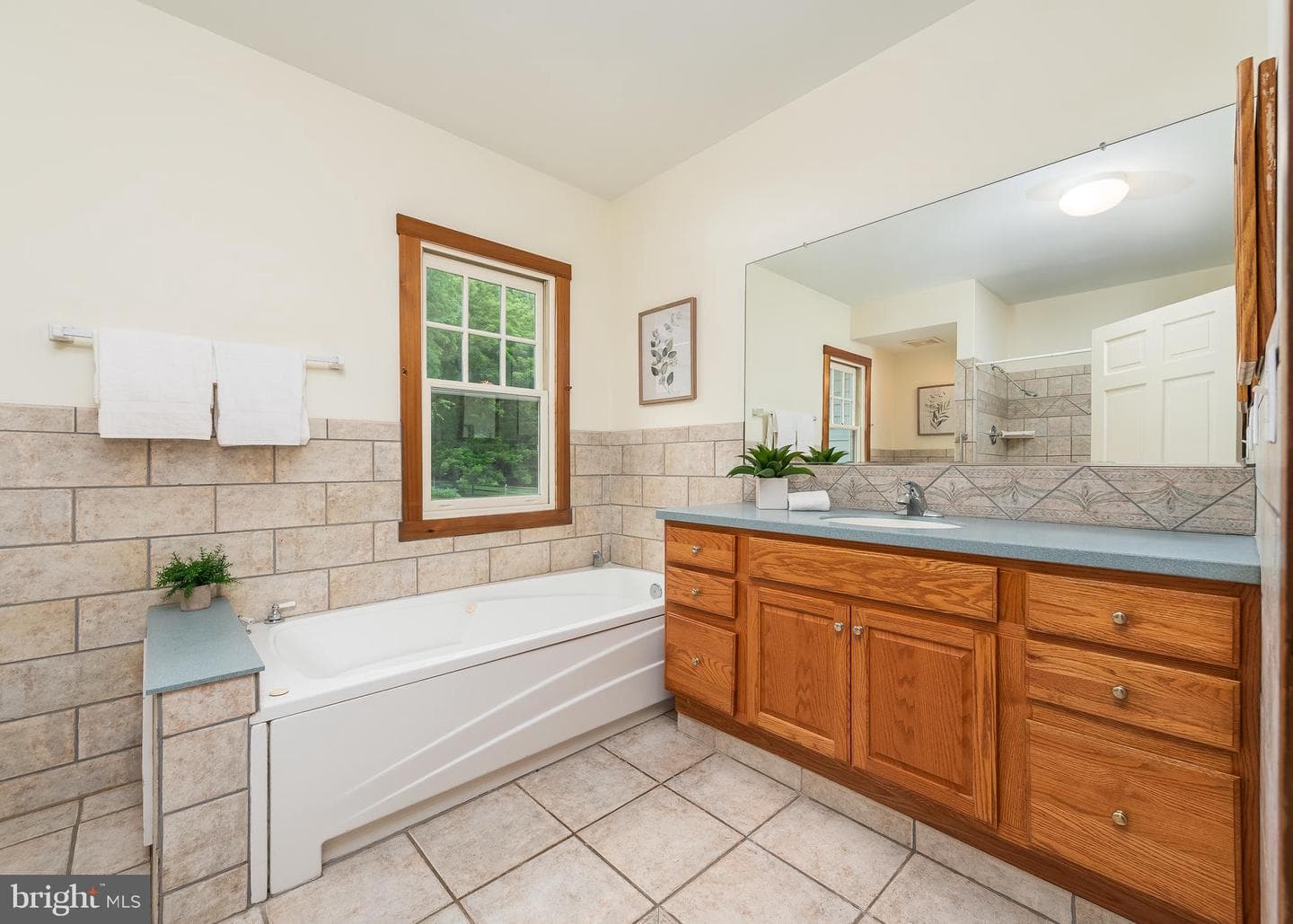 1300 Parrs Ridge Drive photo 25