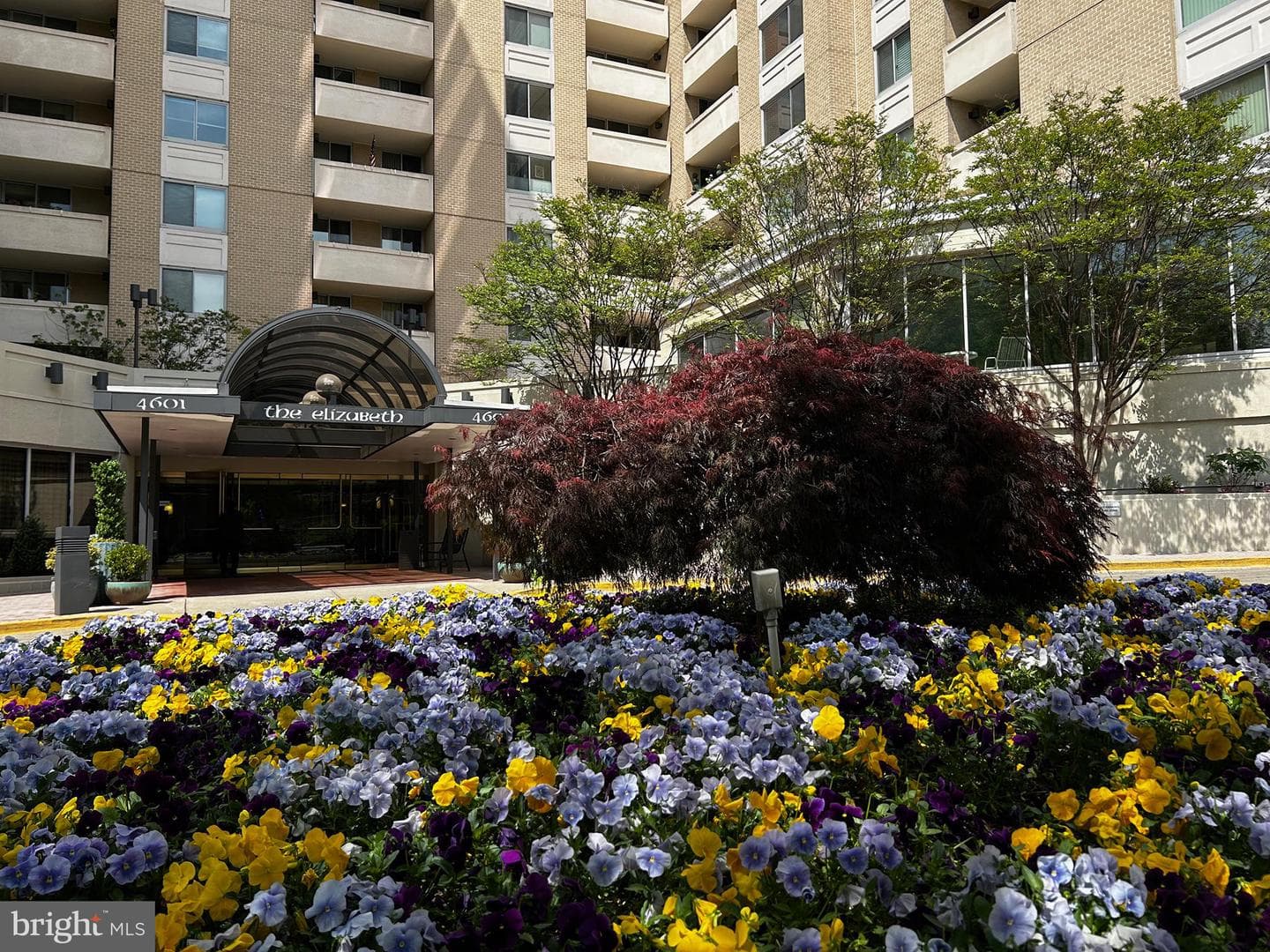 4601 N Park Avenue #607g, Chevy Chase