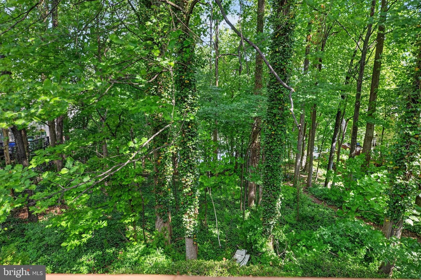 20202 Waterside Drive photo 33