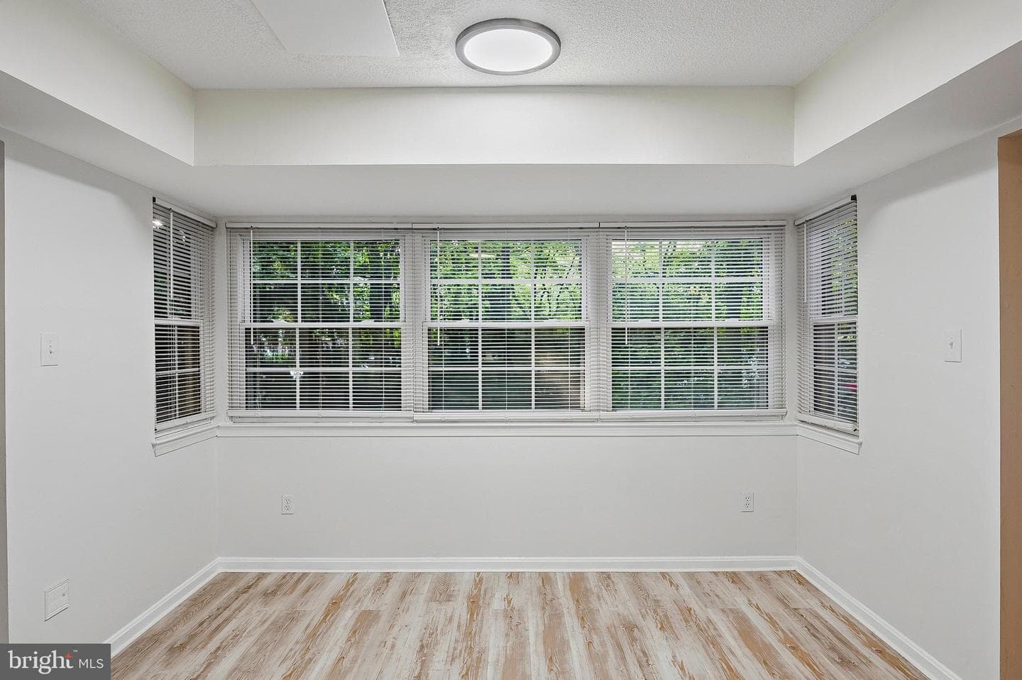 11339 Baroque Road photo 10